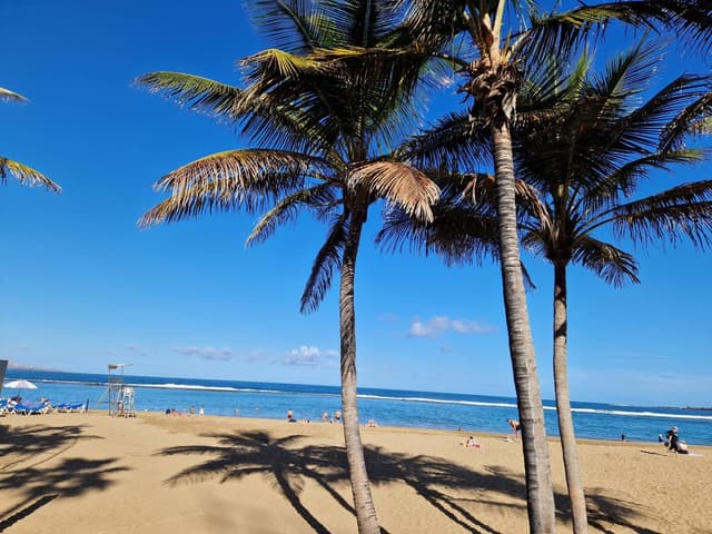 Foto 6 de Domingos S. (23/03/25)