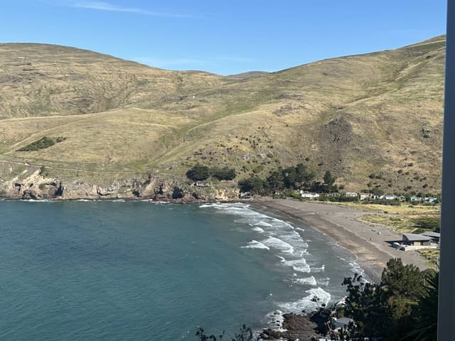 Photo 3 by Andrea H. (3/1/26)