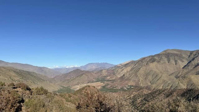 Foto 8 van Fernand D. (10-11-24)