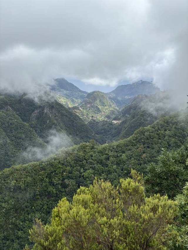 Photo 4 by Catherine H. about renting a Citroën C3 in Funchal (9/16/25)