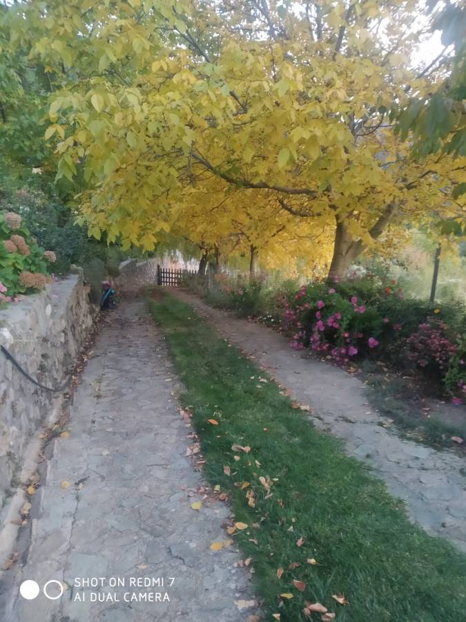 Photo 5 by Boris L. (11/10/24)
