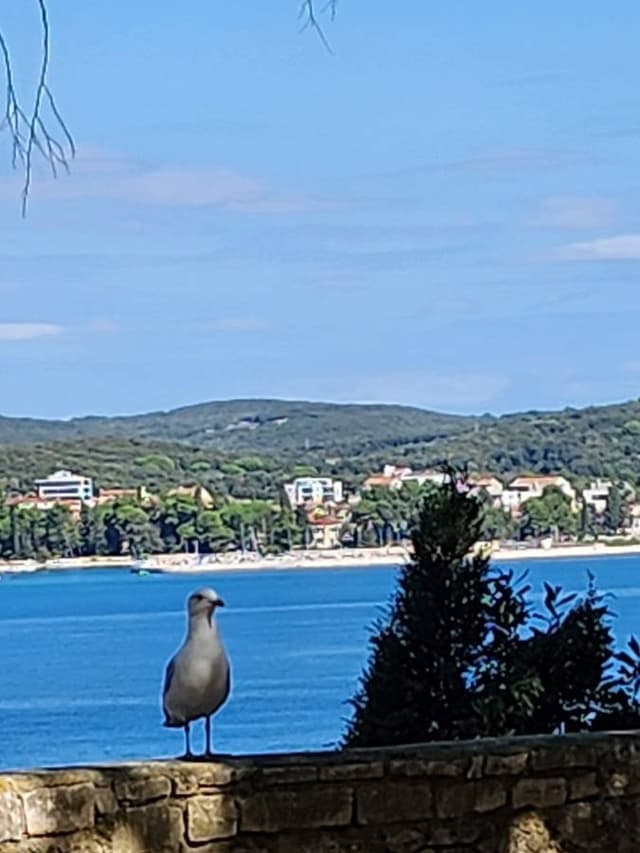 Foto 3 van Monique B. (4-10-24)