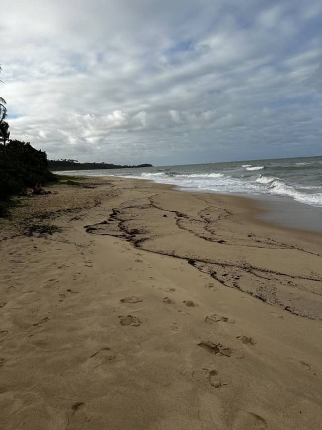 Foto 7 de Dhyego Kassen Fares Bahia D. sobre o aluguer de um Fiat Argo no aeroporto de Porto Seguro (08/08/24)
