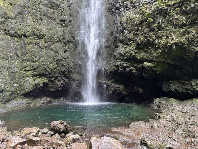Foto 5 di Dorina C. sul noleggio di una Fiat Panda a Madeira (29/03/25)