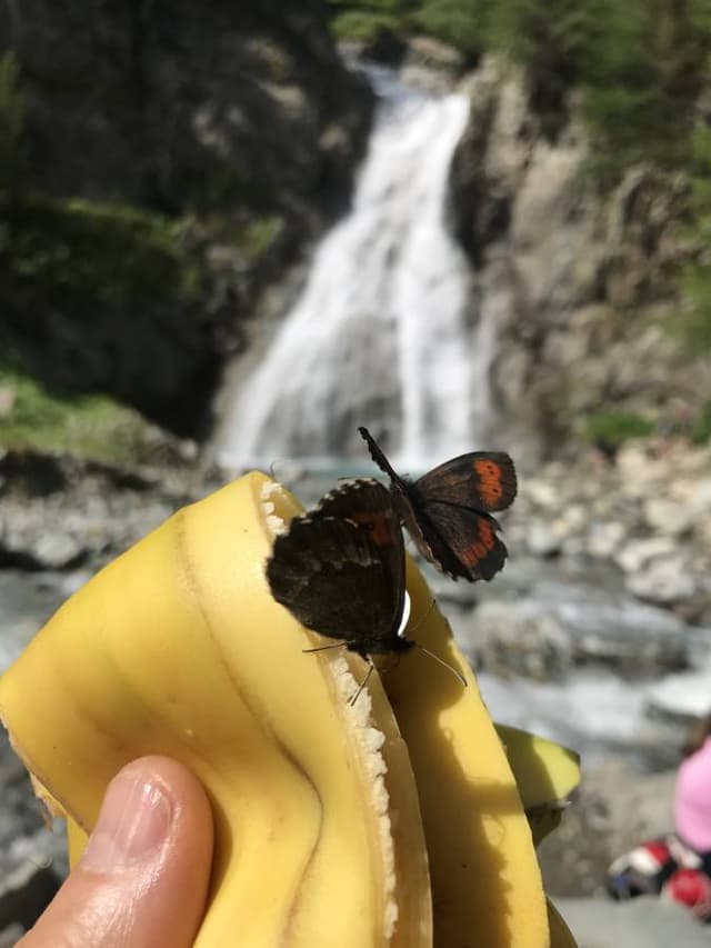 Henkilön Jari S. (14.7.23)