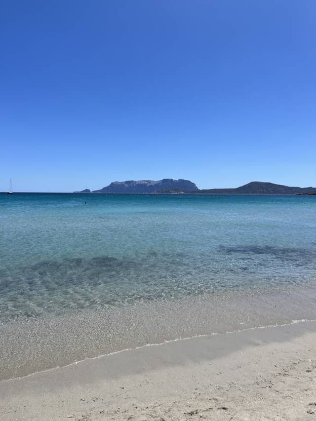 Foto 2 van Danielle G. over het huren van een Fiat Panda op Olbia luchthaven (25-6-24)