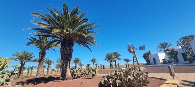 Zdjęcie 10 wykonane przez Andrzej P. (2.03.26)