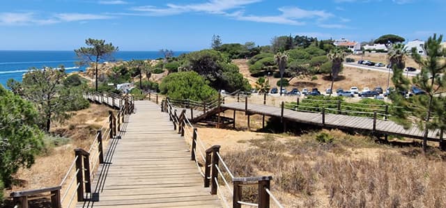 Tivadar G. 6. számú fényképe (24. 06. 13.)