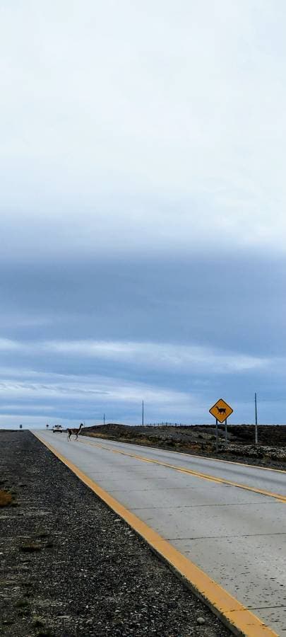Photo by Stefan W. (3/4/26)