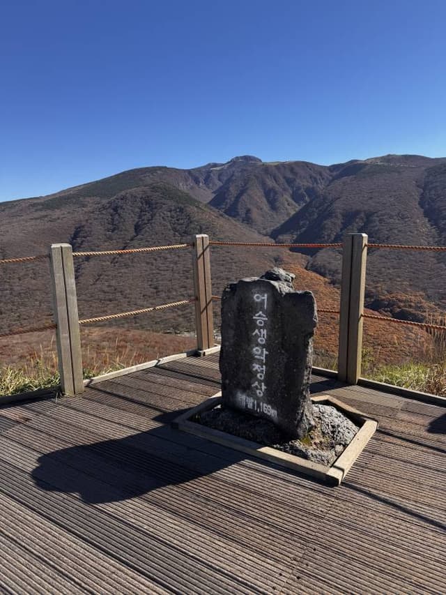 Photo 5 by Katarina L. (11/13/25)