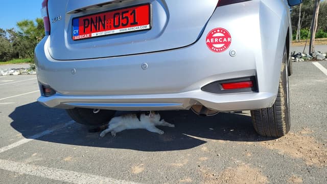 Photo by Marek C. about renting a Suzuki Swift at Paphos Airport (2/2/25)