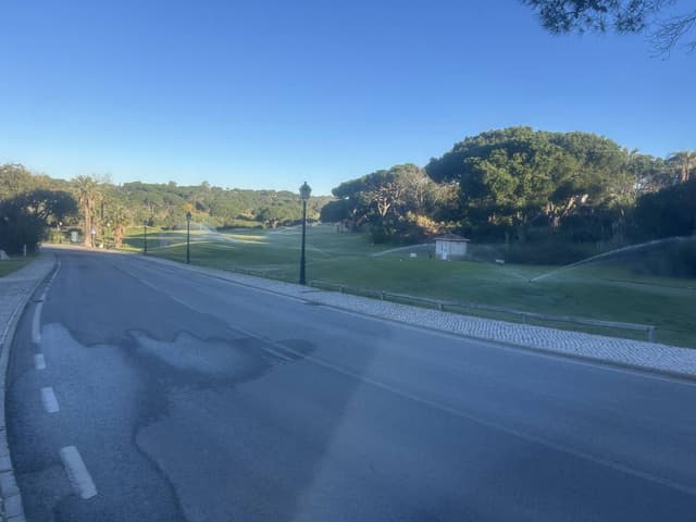 Photo 3 by ian S. (4/12/26)