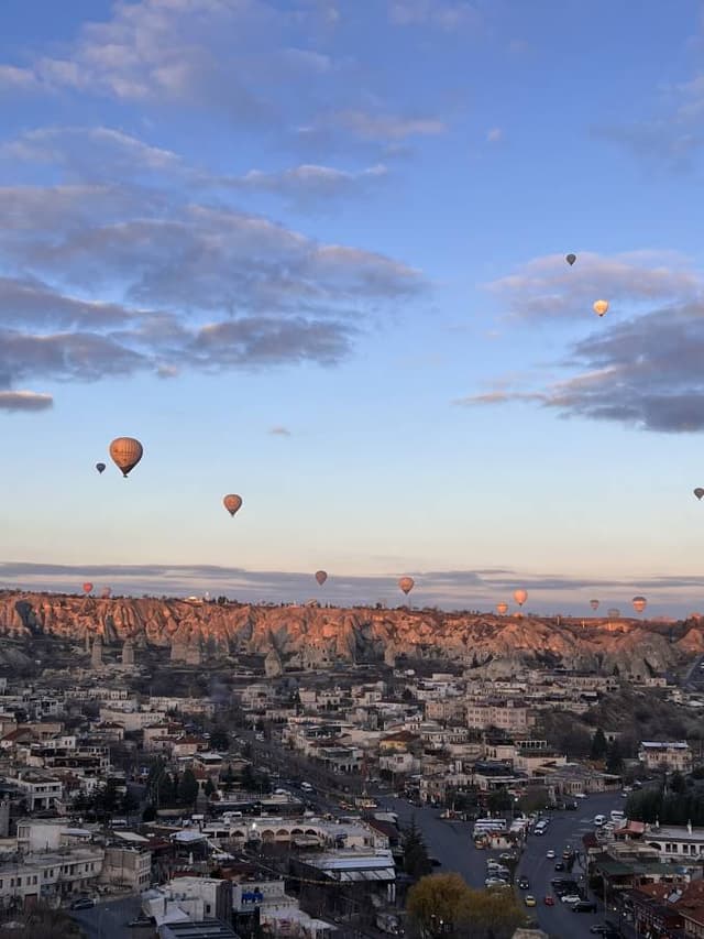 Photo 8 by ROSELEE B. (1/3/26)