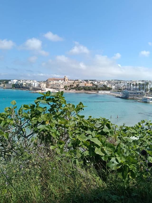 Photo 5 by Valerio T. (5/20/25)