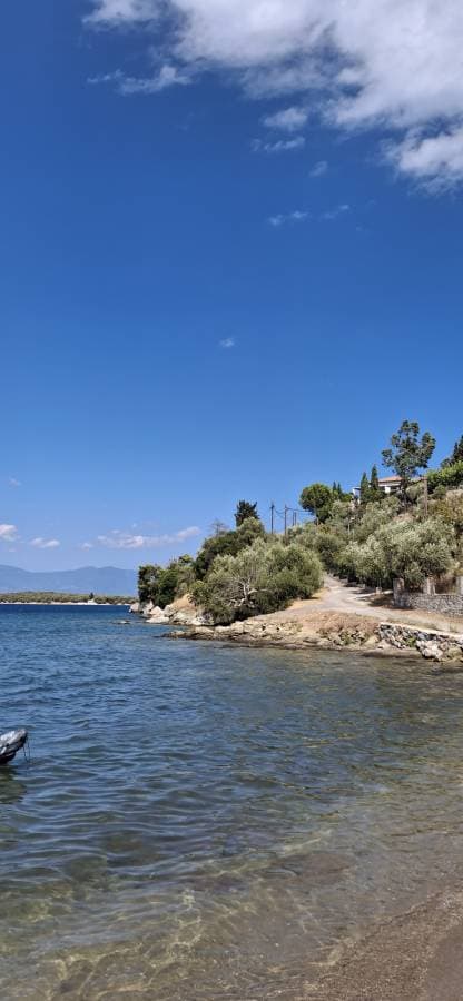 Osman O. tarafından 5 fotoğraf (16.09.25)