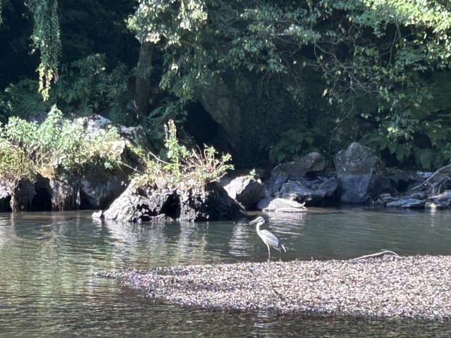 Foto 2 de ANA BELEN N. (6/9/25)