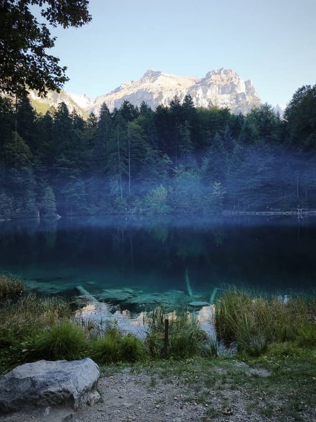 Photo 3 by Yaniv B. (9/30/26)