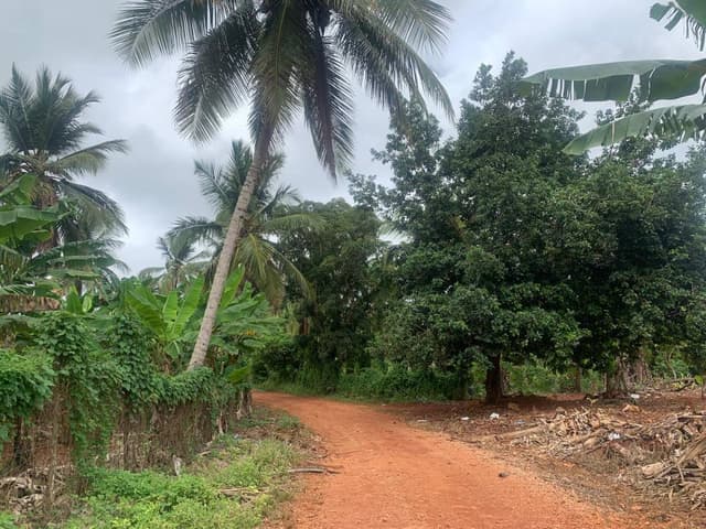 Photo 3 par Kaija H. sur la location d'un Kia Picanto à Punta Cana (27/08/25)