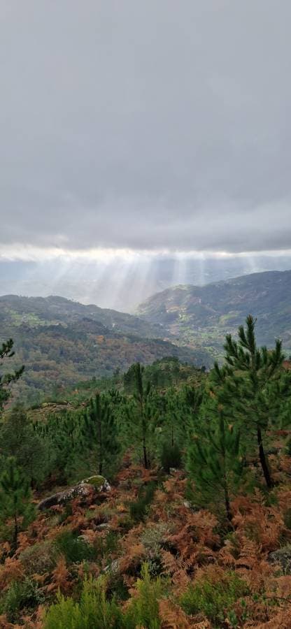 Photo 3 by Olga F. about hiring a Volkswagen Golf STW in Porto (19.11.23)