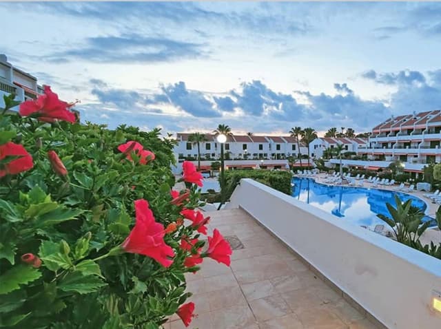 Zdjęcie wykonane przez Artur S. (17.02.25)