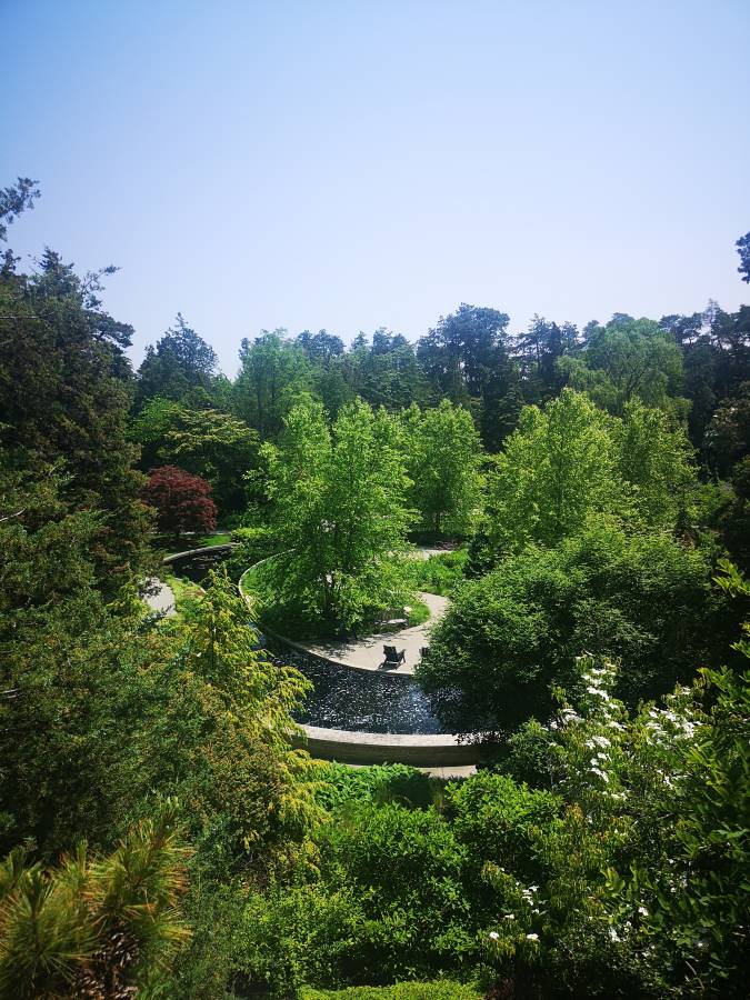 Photo 2 by Alastair K. (6/28/23)