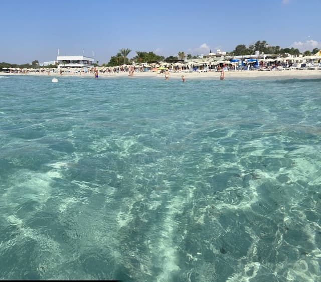 Photo 2 par Georges L. (17/09/24)