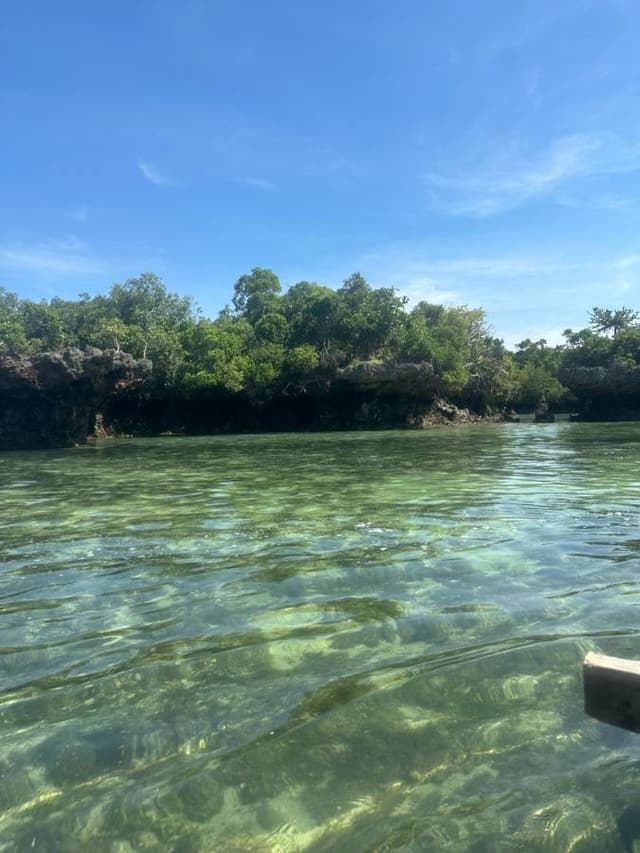 Photo 7 par Samira A. sur la location d'un Skoda Kodiaq à Zanzibar (09/03/24)
