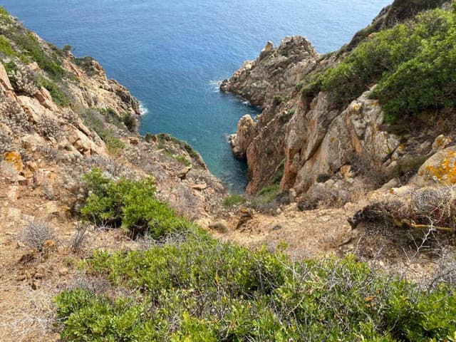 Fotografia 3 realizată de Carmen P. (23.09.22)