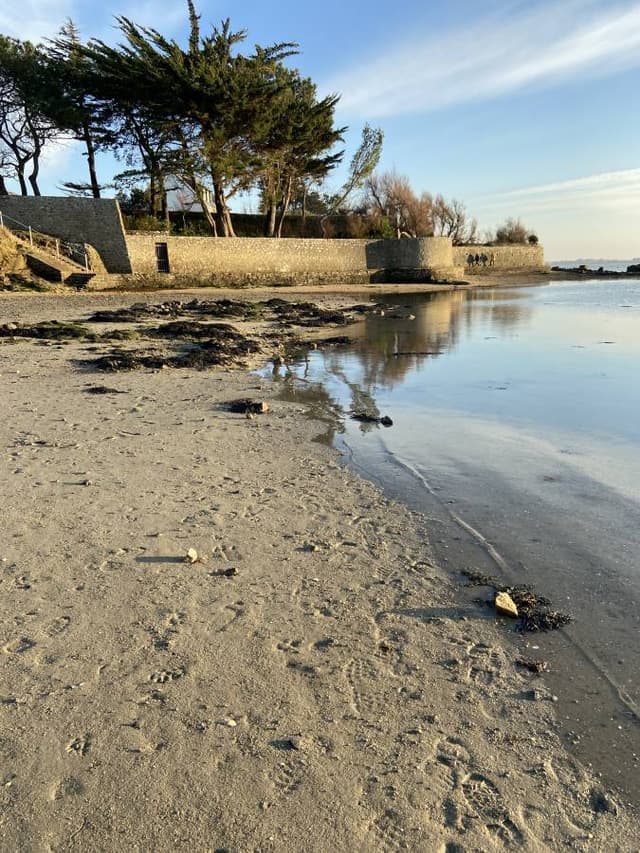 Photo 2 par tanguy L. (16/01/24)