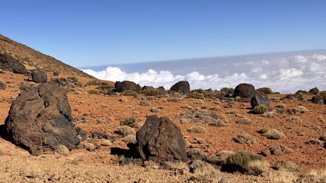 Zdjęcie 7 wykonane przez Cezary O. (5.12.25)