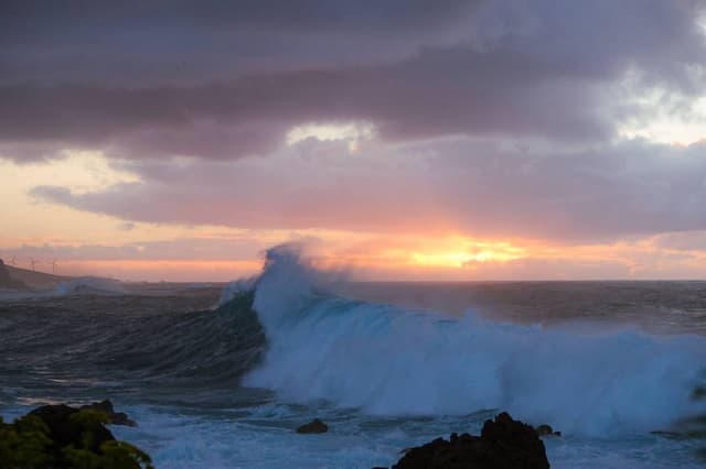 Фото от Ganna M. (20.03.25)