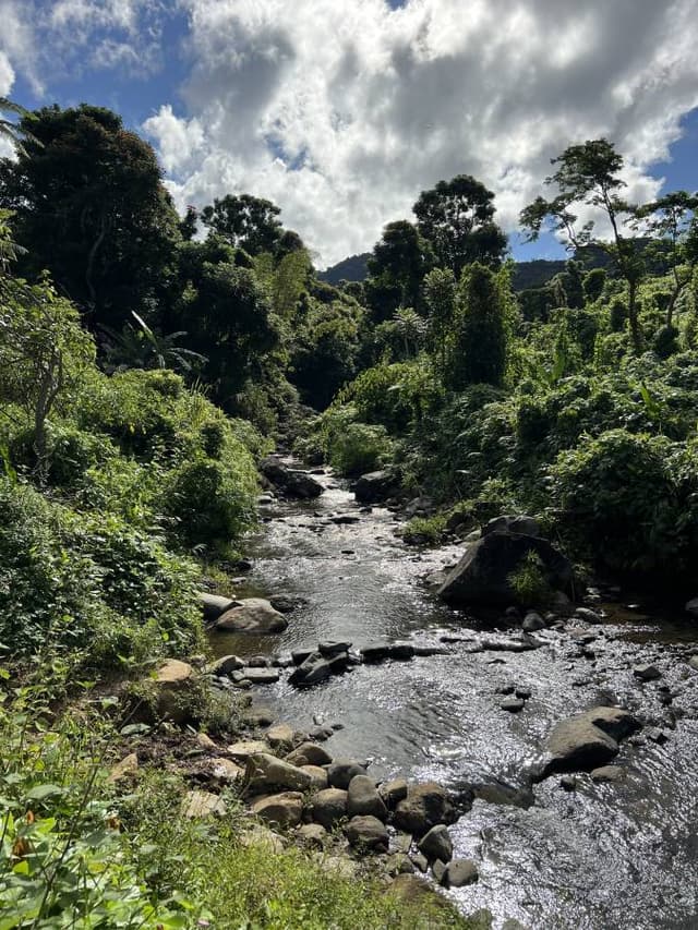 Photo 5 by Emily K. about renting a Honda Fit in Nadi (6/13/25)