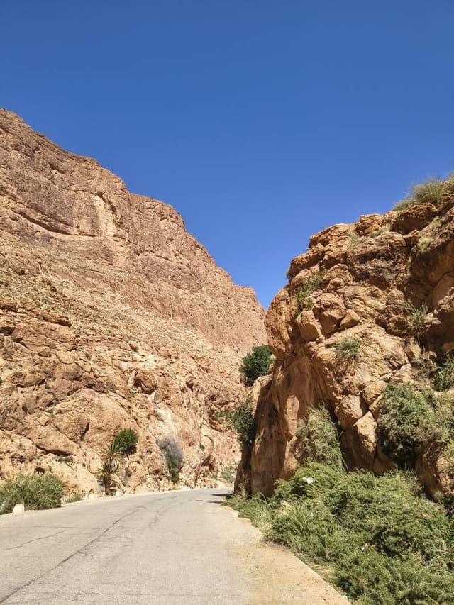 Photo 5 by Cipriani M. (3/18/26)