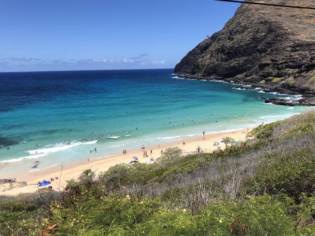 Photo 1 by Suzanne B. (8/19/23)