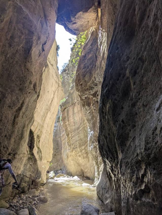 Photo 5 by Olha H. (3/30/26)