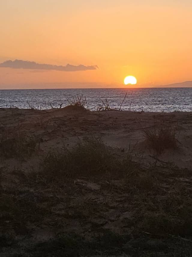 Photo 1 by Kenneth A. (3/10/25)