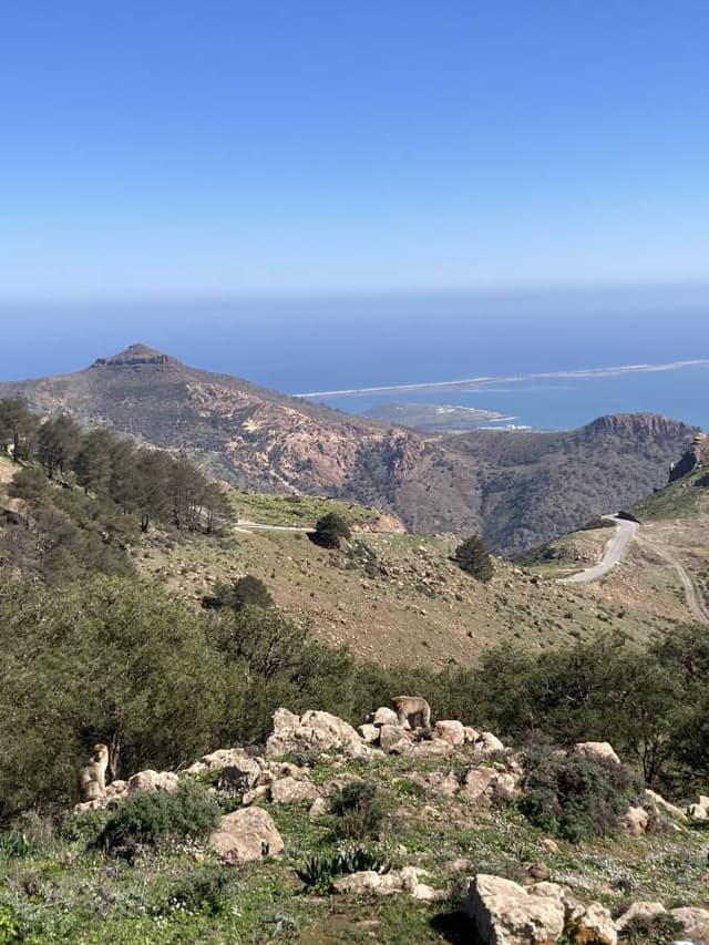 Foto 1 van Laura S. (22-2-26)