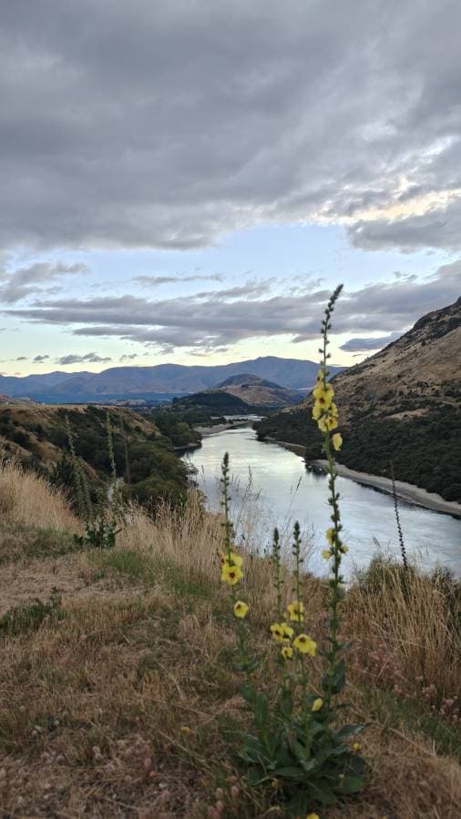 Photo 5 by Soong Heng Glenn Marc L. (3/23/26)