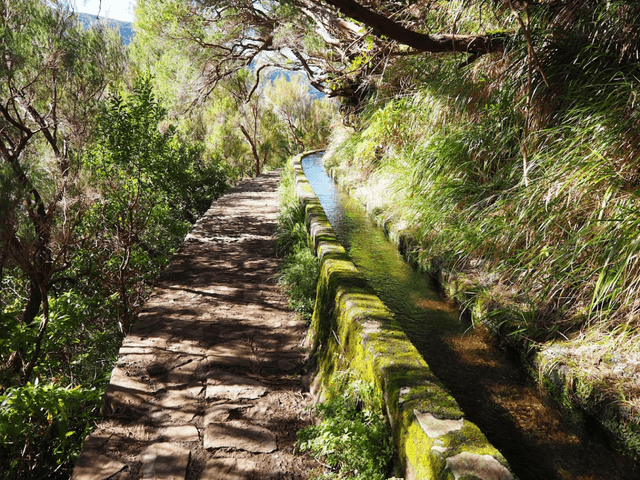 Zdjęcie 2 wykonane przez Elzbieta P. (15.02.24)