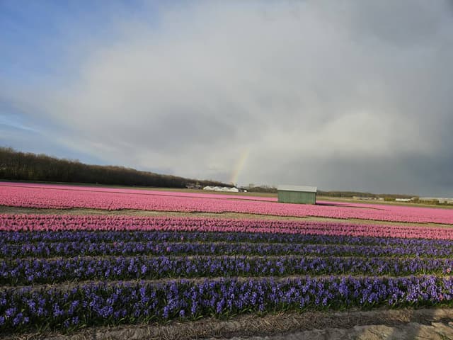 Foto 2 av Abdul Malik D. (26-04-08)