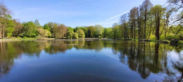 Photo 5 by Arkadiy P. about hiring a Hyundai i30 at Poznan–Lawica Airport (28/04/25)