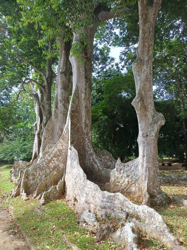 Foto 2 von Ulrich Ing. P. (15.1.26)