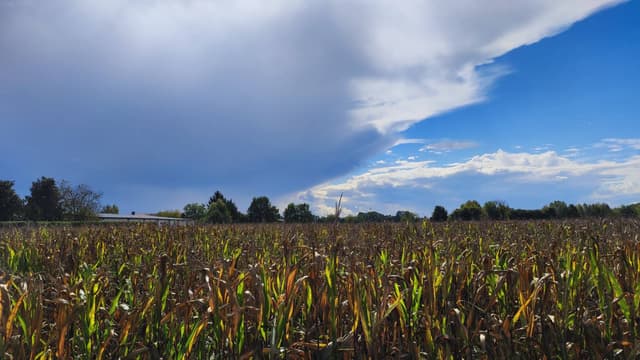 Photo 2 by Serghei N. (10/27/25)