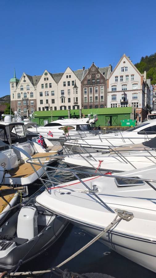 Фото 3 от Mikhail S. об аренде Volvo XC60 в Осло (20.05.25)