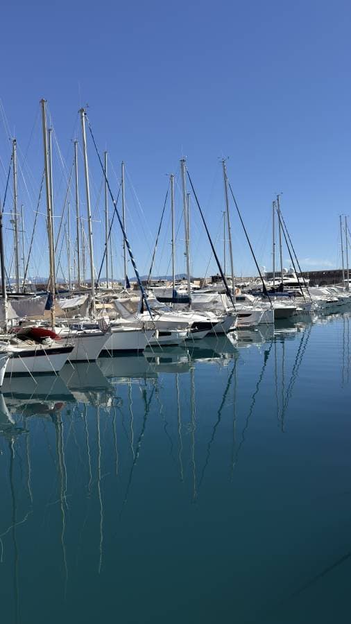 Photo 4 by Helene K. (4/6/26)