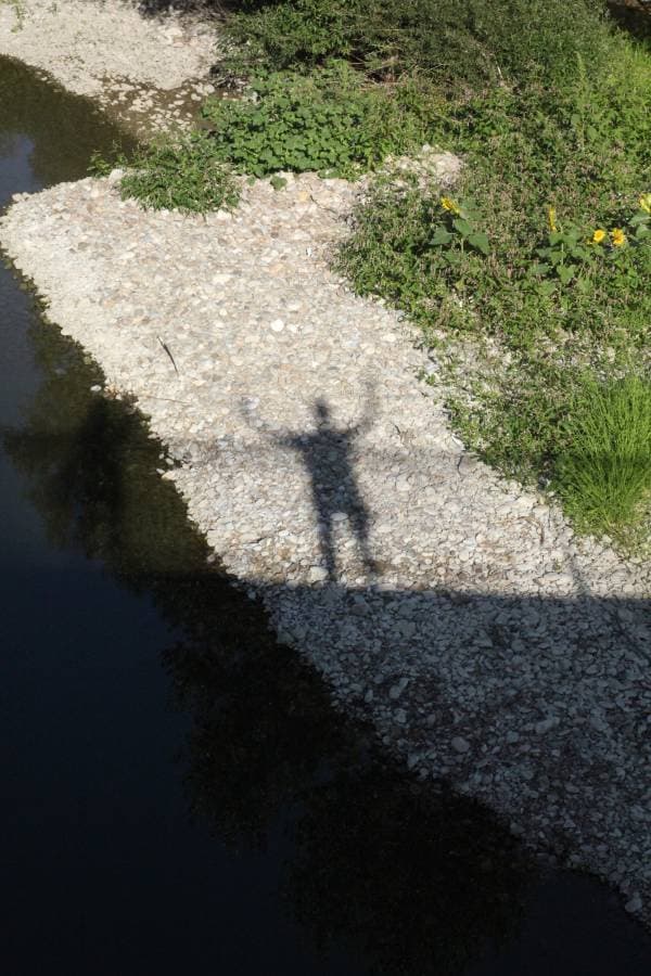 Zdjęcie 5 wykonane przez Zbigniew S. (22.09.23)