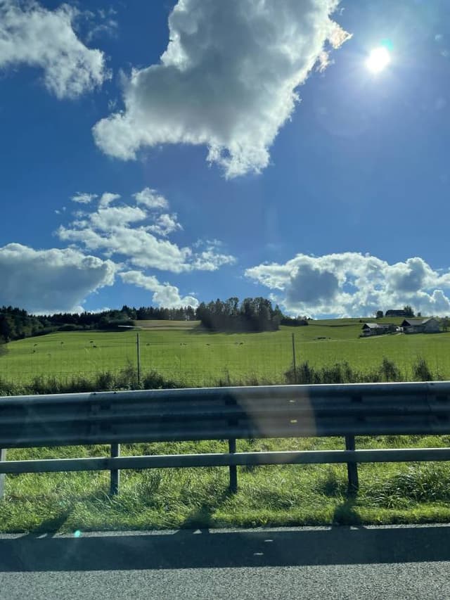 Photo 4 by Alicia Y. about renting a Volkswagen Golf STW in Vienna (10/1/24)