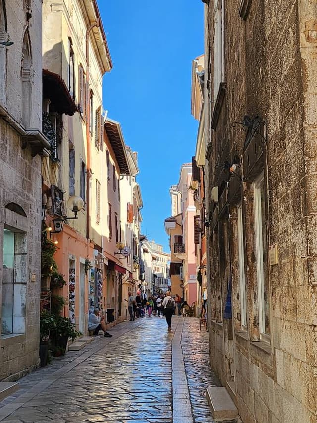 Foto 4 van Monique B. (4-10-24)