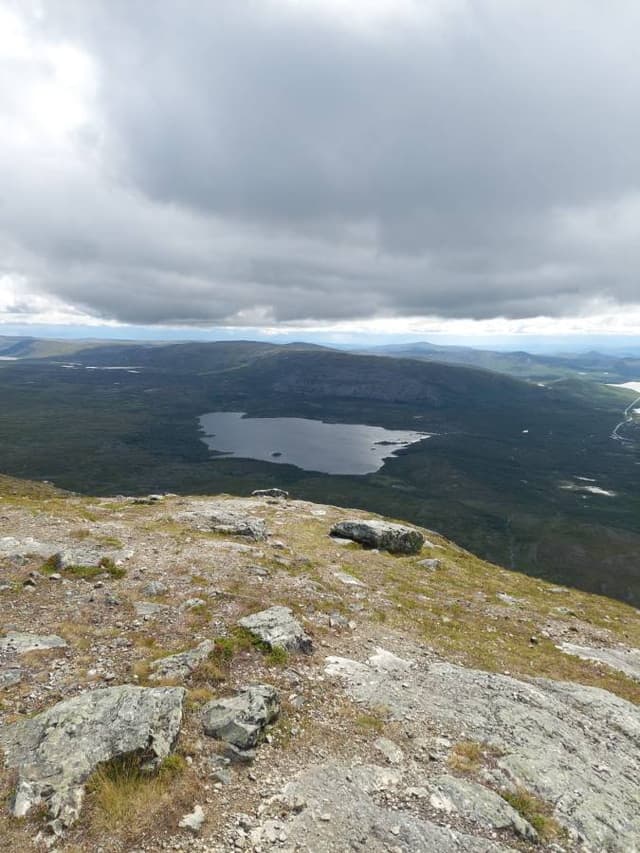 Henkilön Tuija S. kuva 3 (23.7.23)