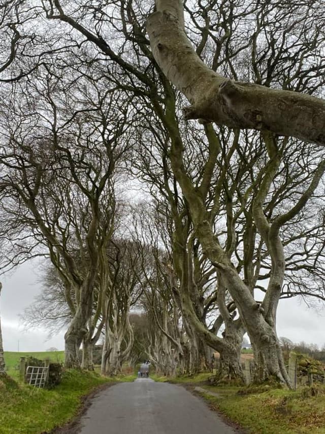 Foto 8 de Antonio M. (11/12/23)